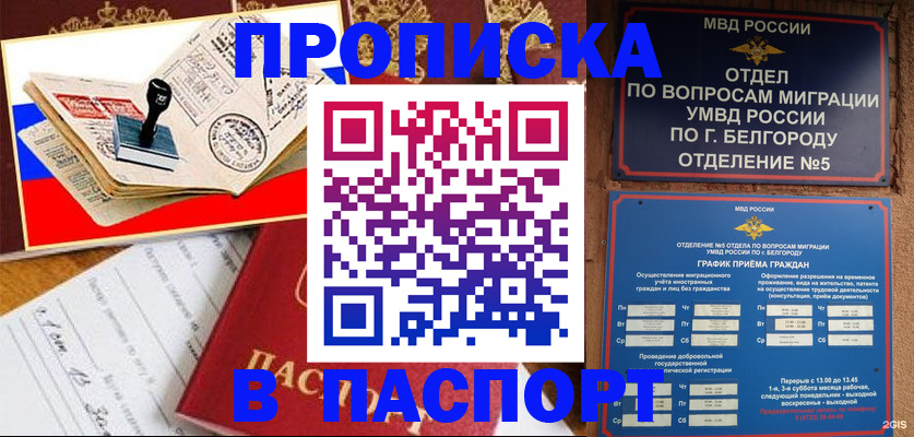 купить прописку в Дмитрове